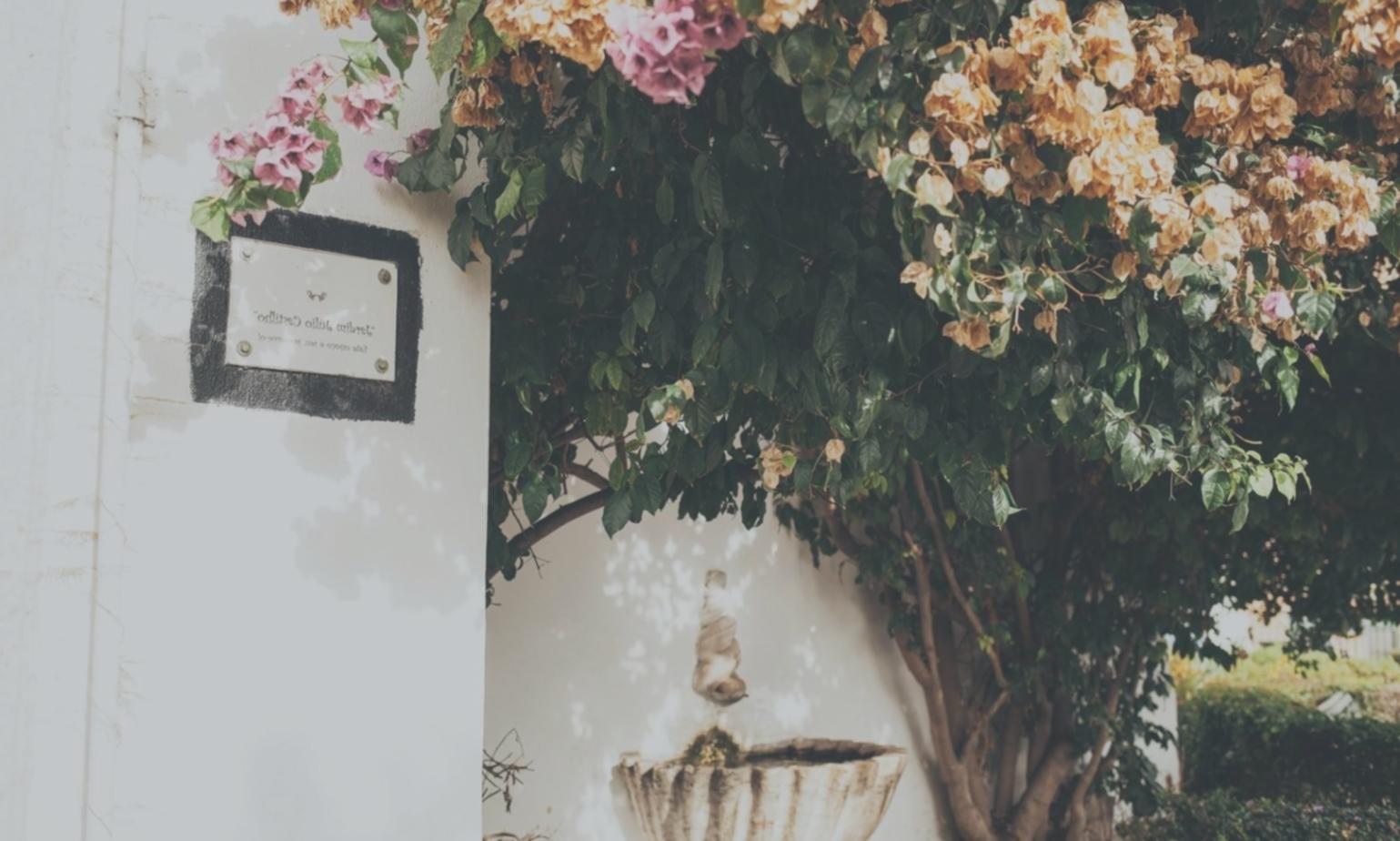 Birthday celebration setup with custom theme decorations and table arrangements