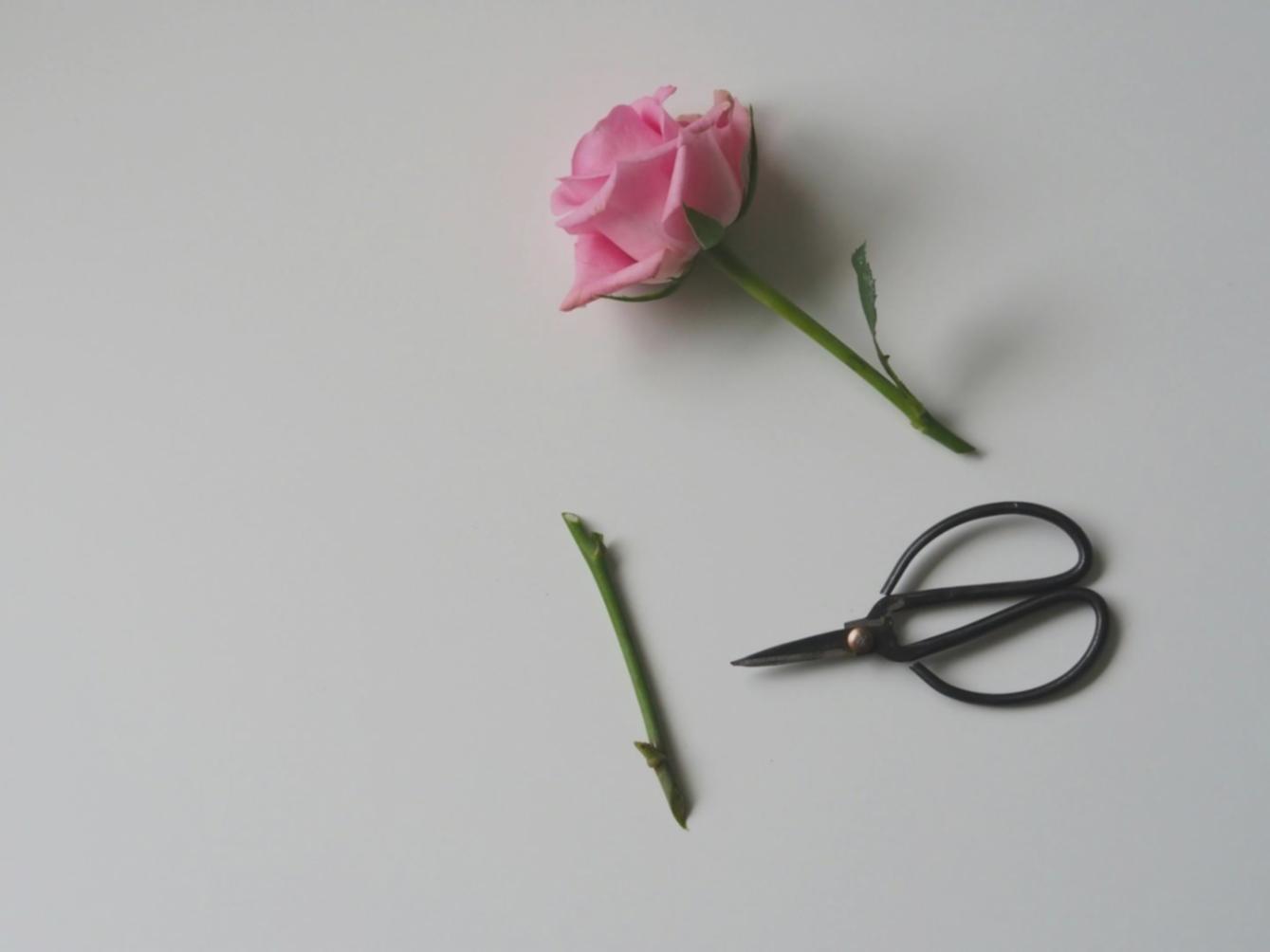 Students collaborating on game development project with multiple screens showing code and game environments