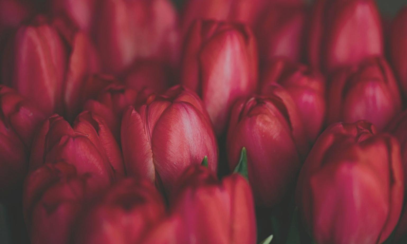 Wedding decoration setup showcasing elegant fabric draping and ambient lighting design