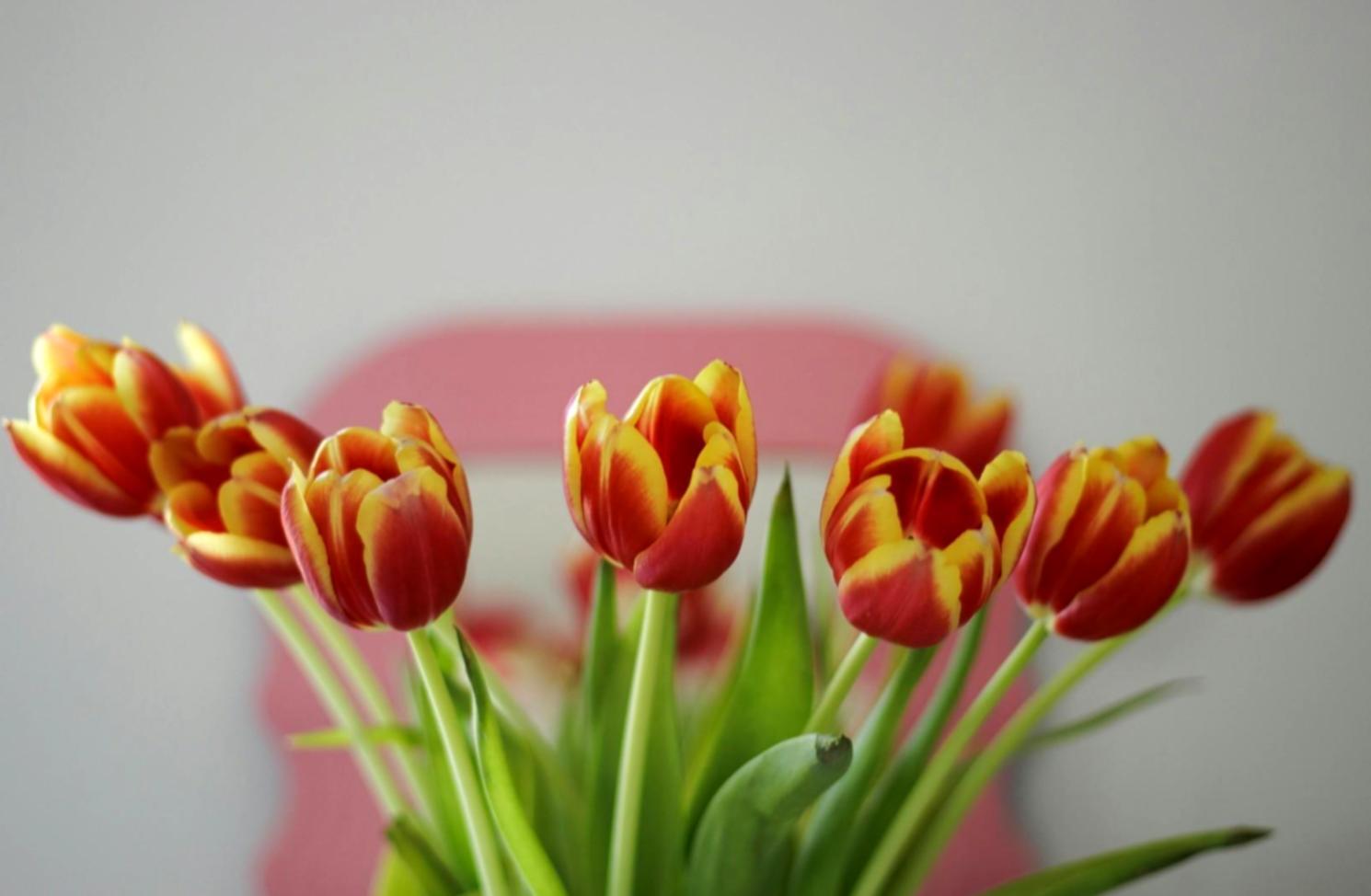 Corporate event space with professional decor and strategic lighting arrangement